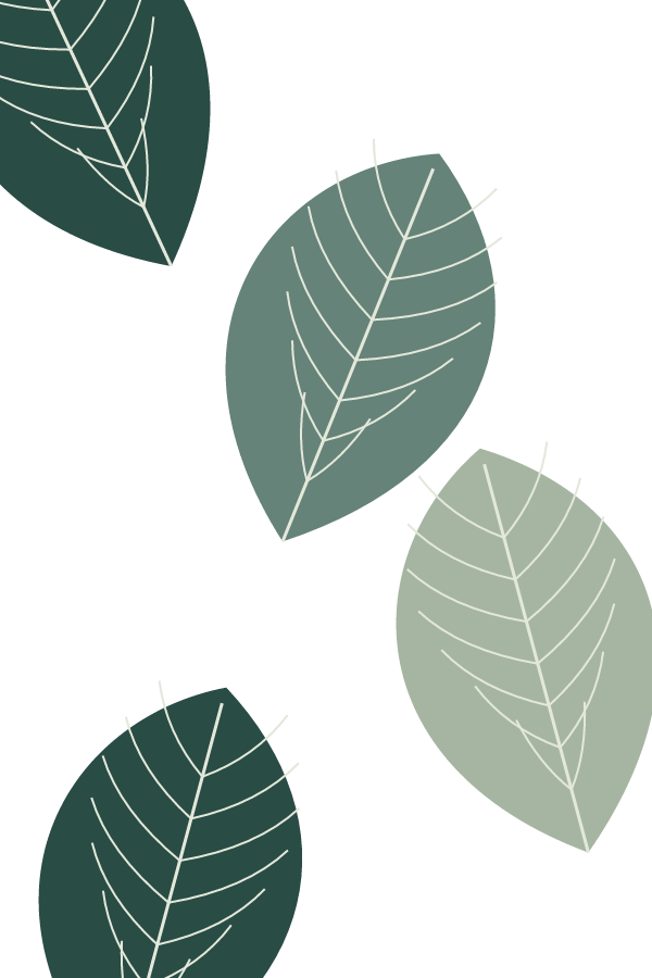 Canopy Leaf — full decorative window film artwork