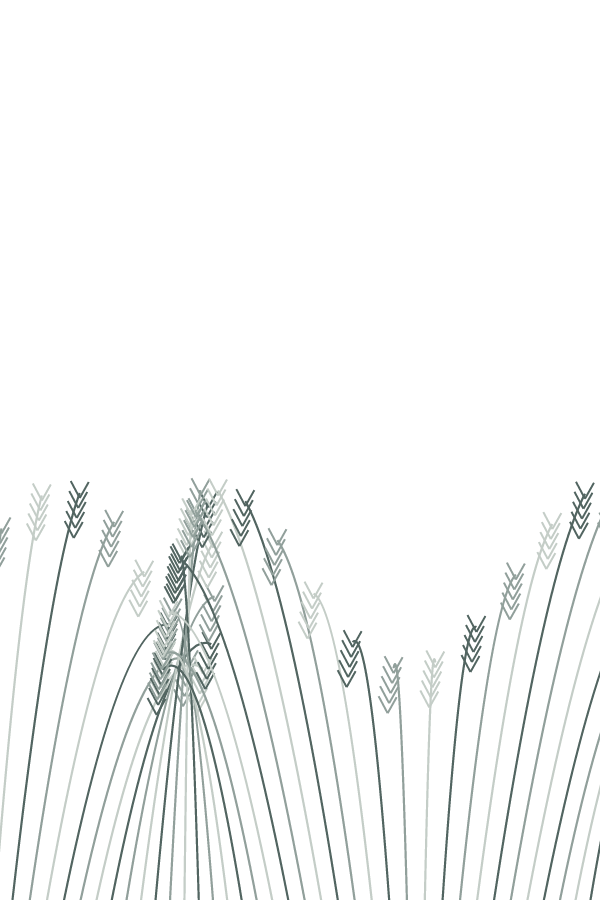 Dune Grass — full decorative window film artwork