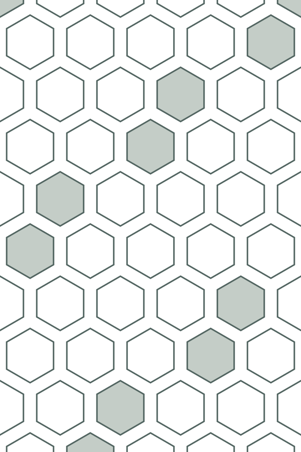 Hexagon Field decorative window film pattern