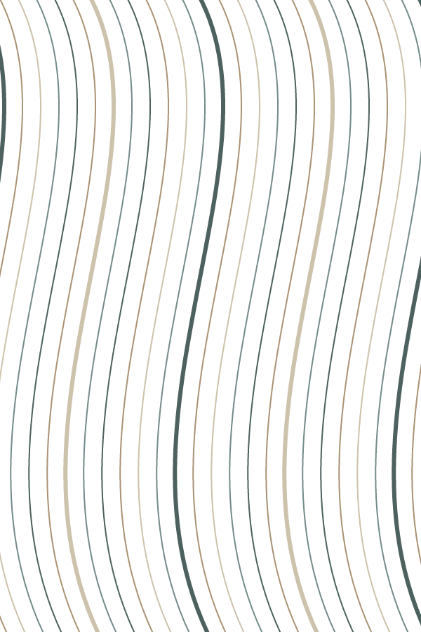 Silken Veil decorative window film pattern
